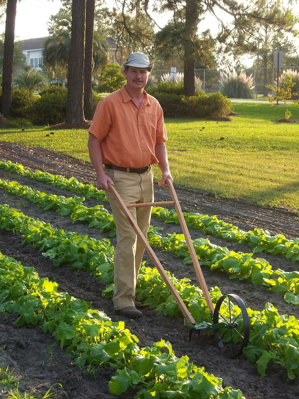 Single Wheel Hoe | Cultivate, Weed, Plow and Maintain Your Garden!