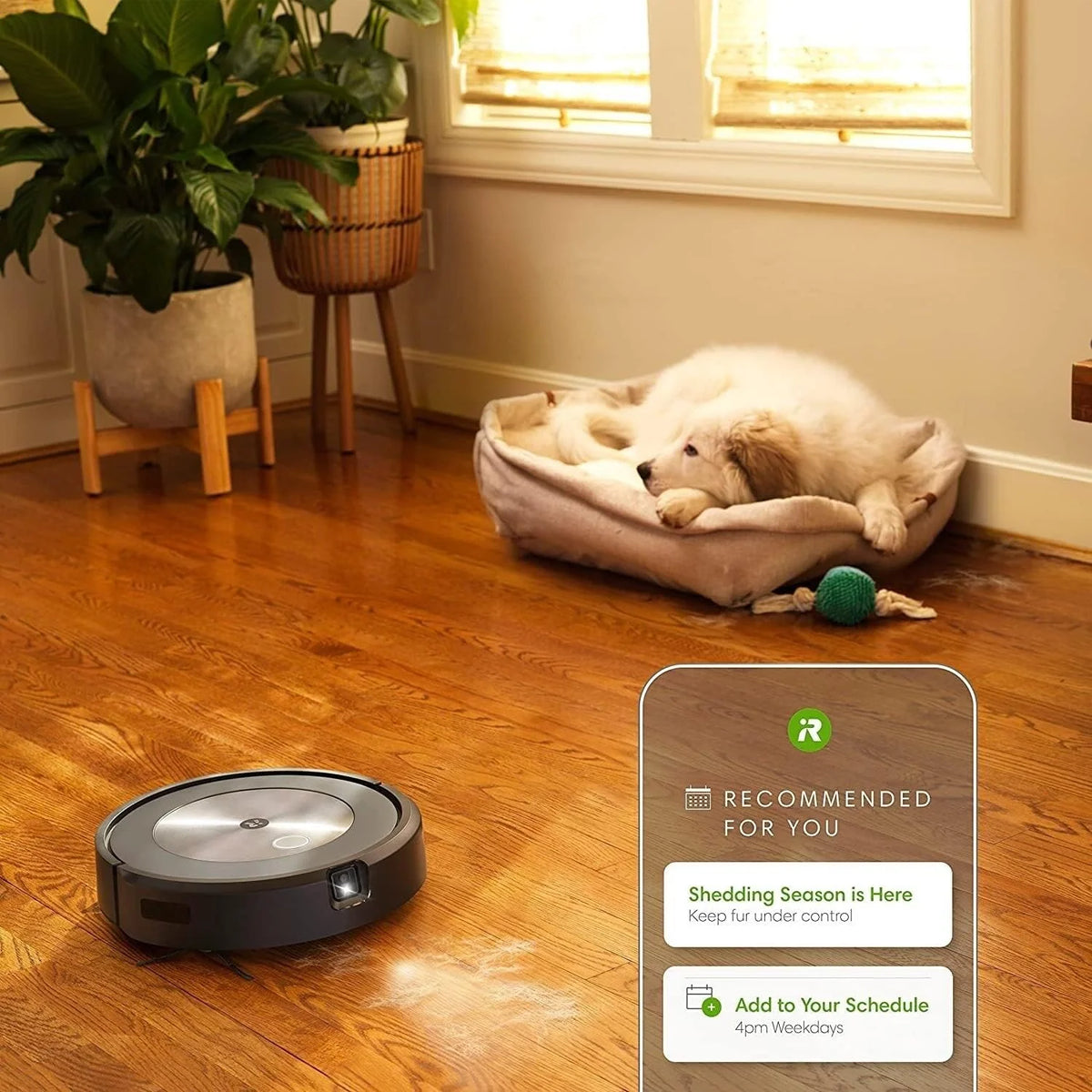 Roomba j7+ Self-Emptying Vacuum Cleaning Robot (Renewed)